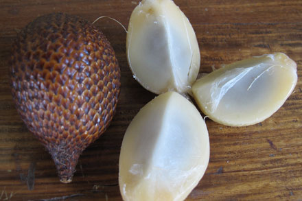 snake-fruit-2