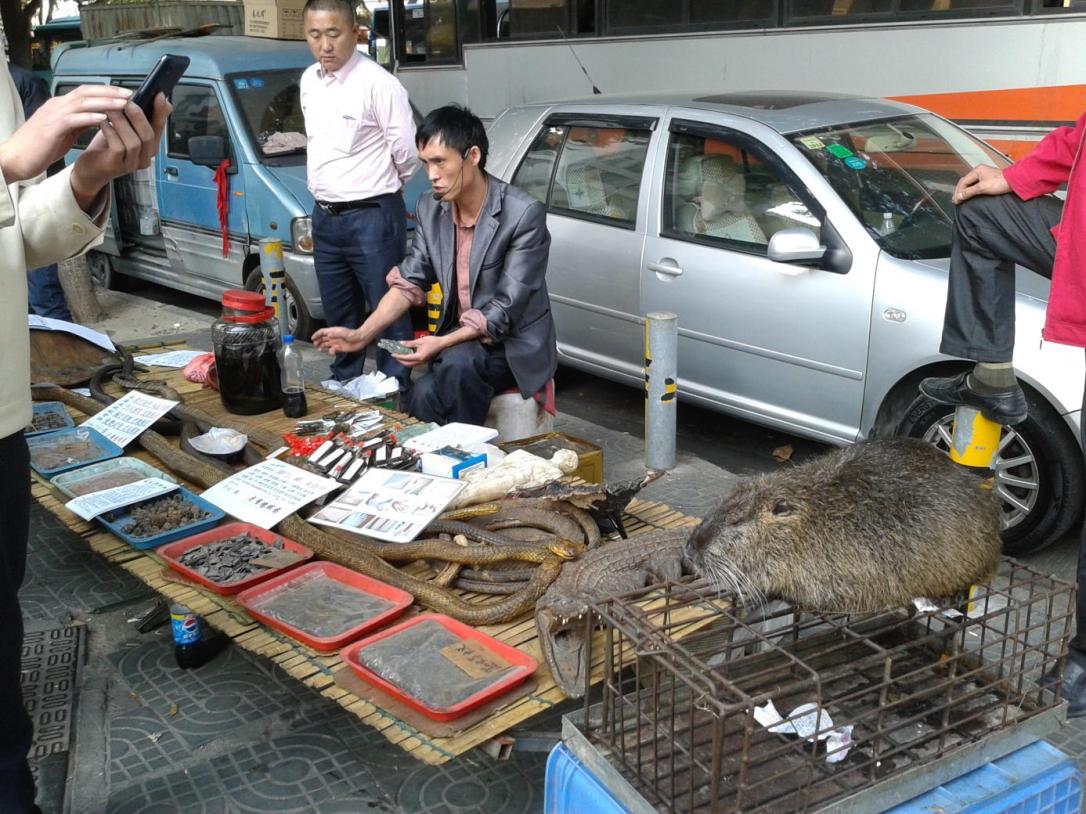 Pan sprzedający suszone gady w Baoan, dzielnicy Shenzhen. Po tym jak zrobiłam zdjęcia tym stworzeniom, jakiś Chińczyk zaczął bezczelnie robić mi zdjęcia, trzymając smartfona dosłownie 50 cm od mojej twarzy. Poczułam się wówczas jak powyższe egzotyczne rarytasy.