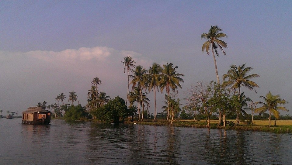 11046598_10206179485715794_588300681650589315_n