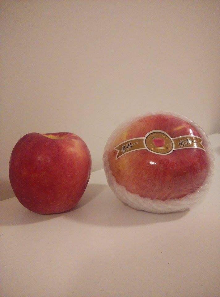 11349821_10206795354392126_343300360_n