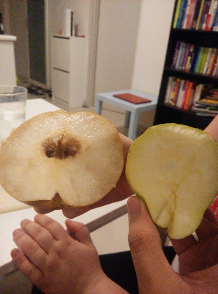 11354975_10206795352912089_763619959_n