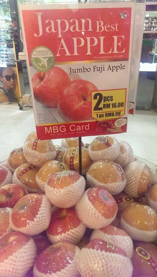 11355564_10206795354832137_1238876340_n