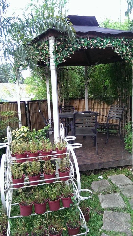 11269111_10206915548636907_311095400_n