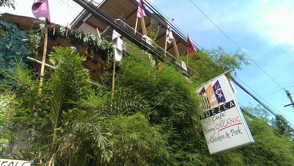 11351892_10206915559397176_436210840_n