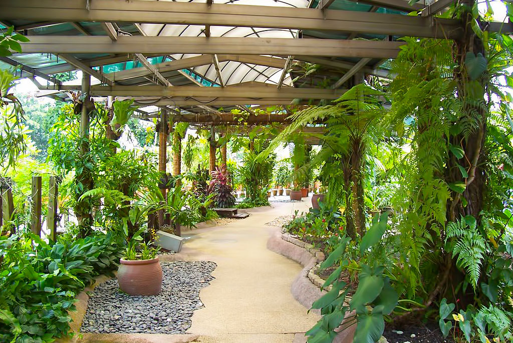 Wejście do ogrodu orchidei