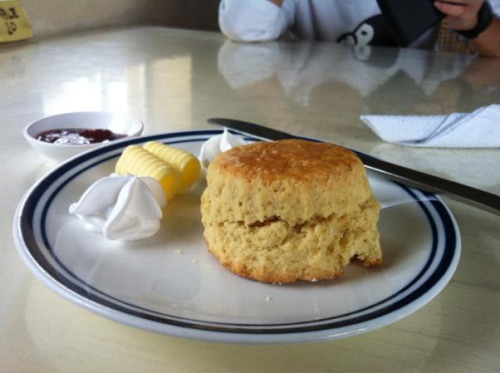 tumblr_m9u34eBl2G1qmyq8go1_500