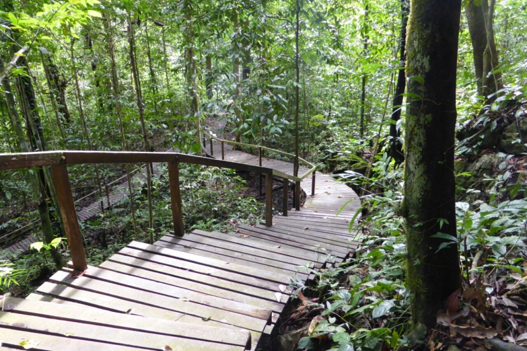 Typowy widoczek ze spaceru