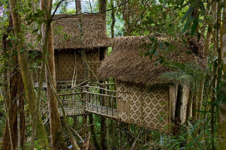 źródło: suanie.net