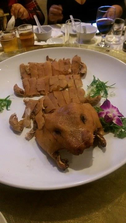 14569161_10210770553169611_1475220213_n