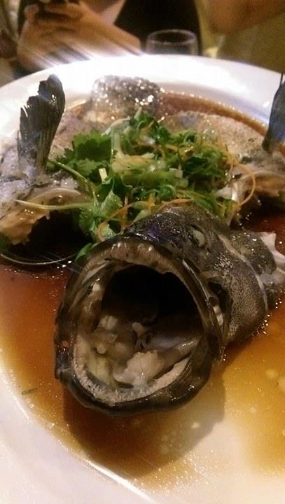 14593168_10210770554009632_695427894_n